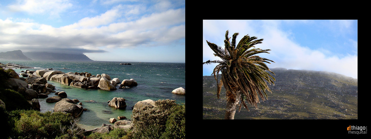 south african photos destination wedding
