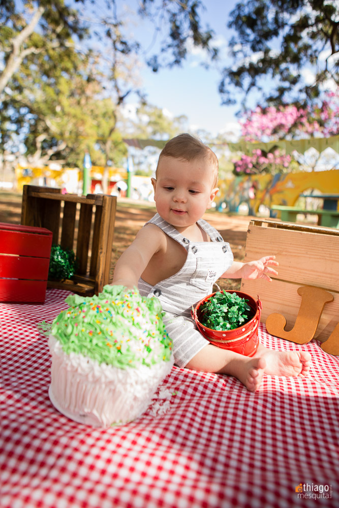 smash the cake