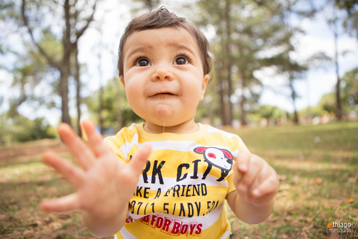 10 meses parque do sabia