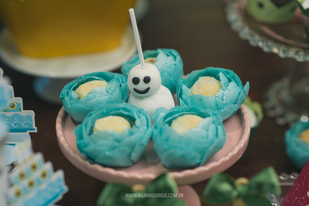 aniversario infantil duda frozen aracaju sergipe,aniversario infantil aracaju, fotografia infantil aracaju, allan rodrigo fotografia, frozen, elza,disney,aniversario elza frozen,aracaju infantil,sergipe aniversario infantil,orcamento infantil aracaju,