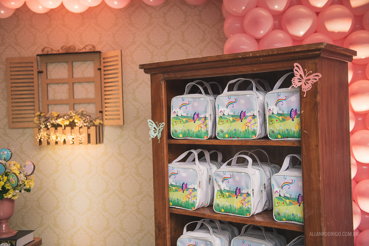 aniversário infanti aracaju,fotografia de infantil aracaju, decoração dri eulalia, decoração jardim, aracaju, sergipe, allan rodrigo fotografia, orçamento infantil aracaju, orçamento fotografia infantil, fo
