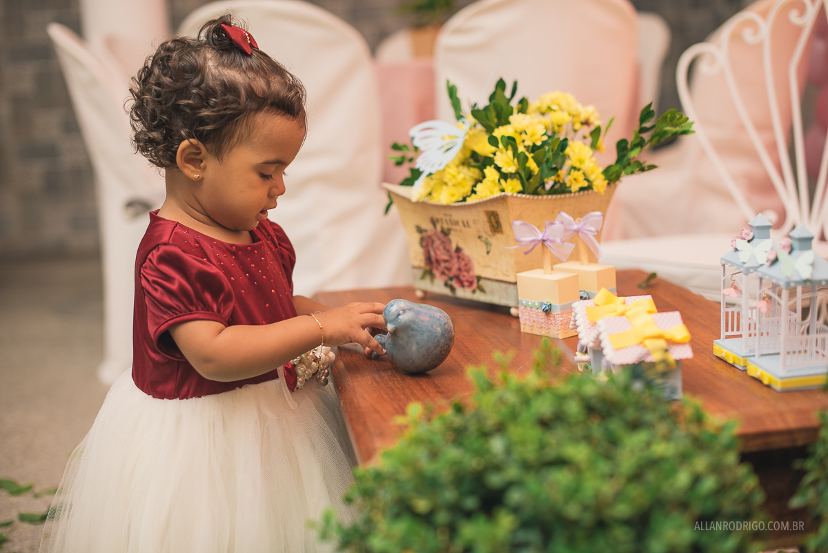 aniversário infanti aracaju,fotografia de infantil aracaju, decoração dri eulalia, decoração jardim, aracaju, sergipe, allan rodrigo fotografia, orçamento infantil aracaju, orçamento fotografia infantil, fo