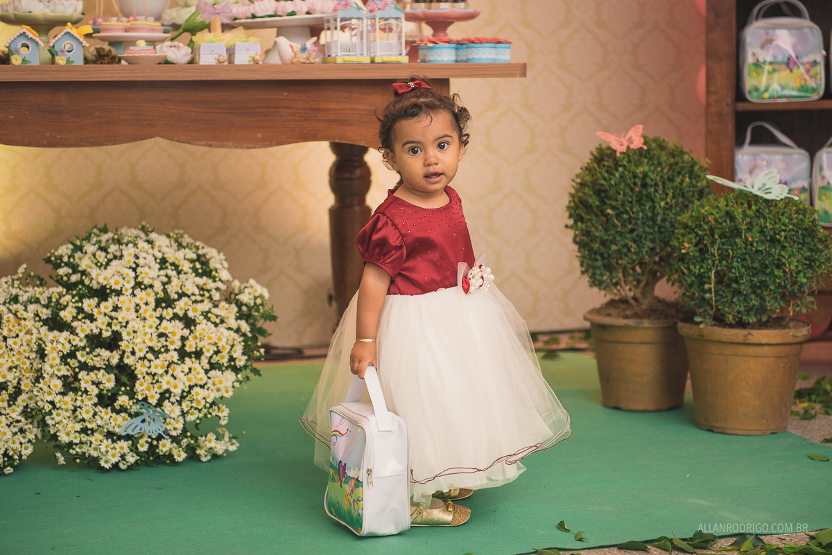 aniversário infanti aracaju,fotografia de infantil aracaju, decoração dri eulalia, decoração jardim, aracaju, sergipe, allan rodrigo fotografia, orçamento infantil aracaju, orçamento fotografia infantil, fo