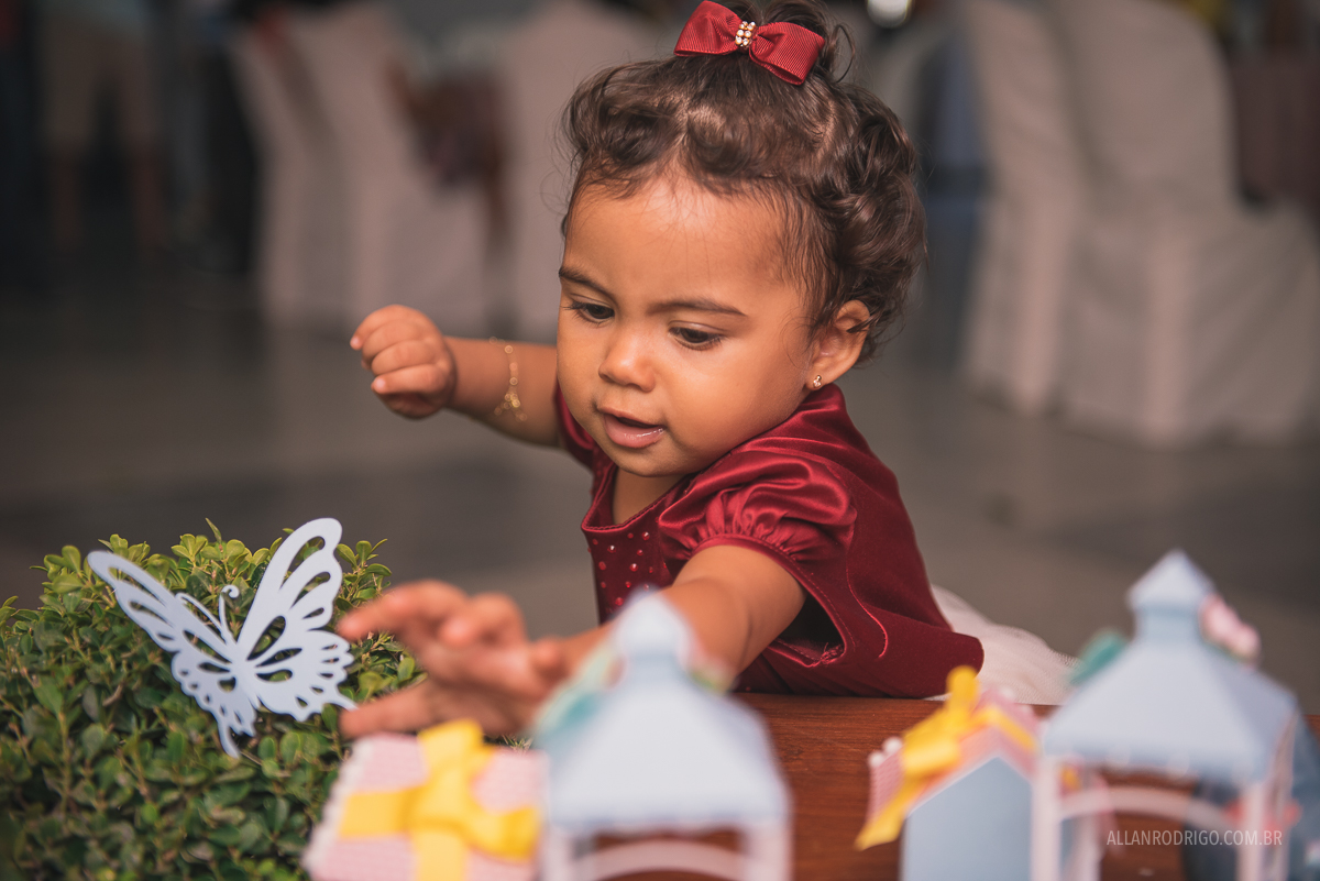 aniversário infanti aracaju,fotografia de infantil aracaju, decoração dri eulalia, decoração jardim, aracaju, sergipe, allan rodrigo fotografia, orçamento infantil aracaju, orçamento fotografia infantil, fo