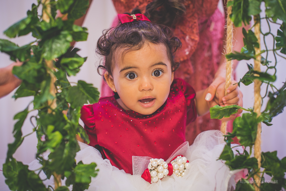 aniversário infanti aracaju,fotografia de infantil aracaju, decoração dri eulalia, decoração jardim, aracaju, sergipe, allan rodrigo fotografia, orçamento infantil aracaju, orçamento fotografia infantil, fo