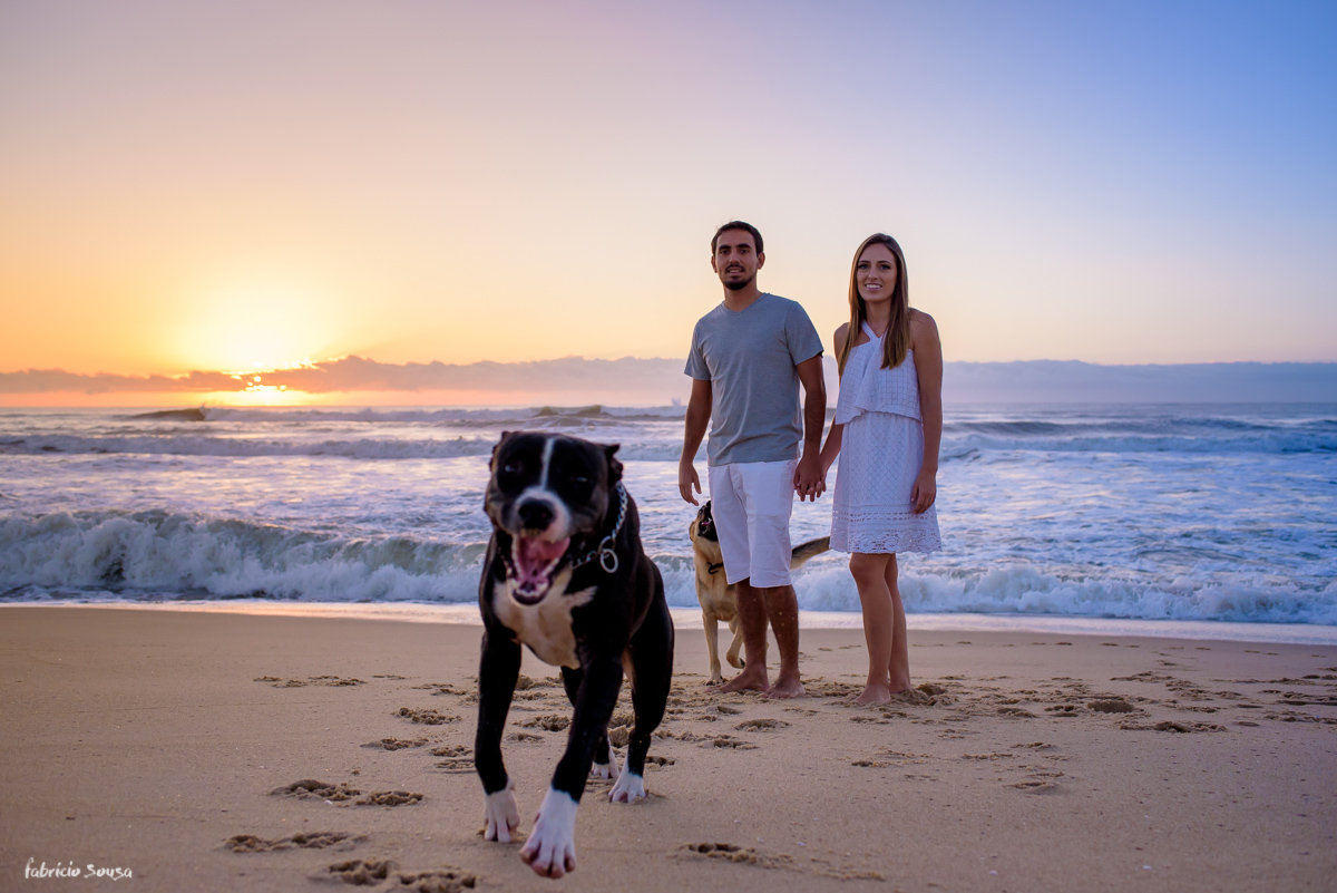 filhote de pitbull se diverte na praia durante sessão fotográfica pre-wedding