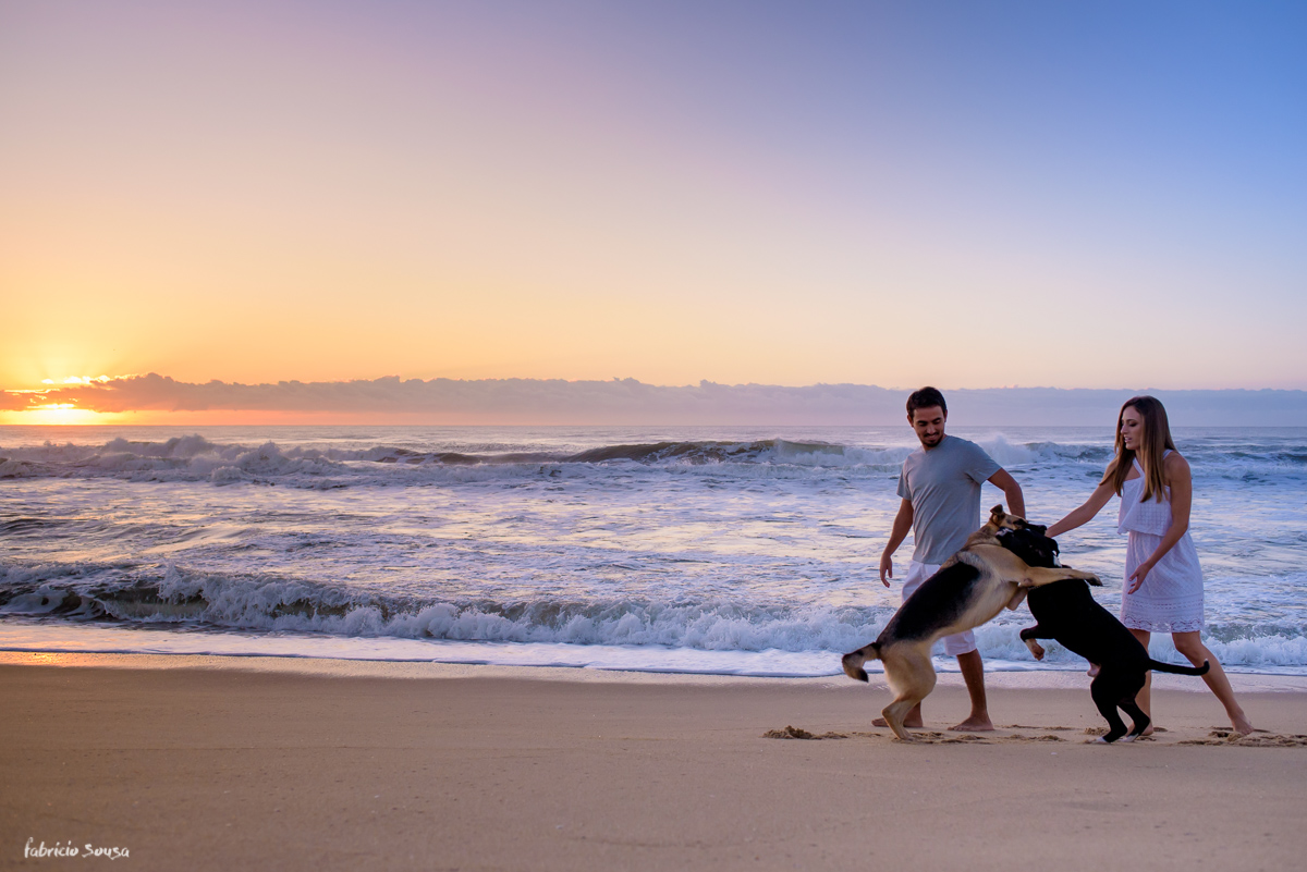 casal de cachorros brigando e brincando durante ensaio pre-casamento Mayara Besen Costa e Felix Tomazelli