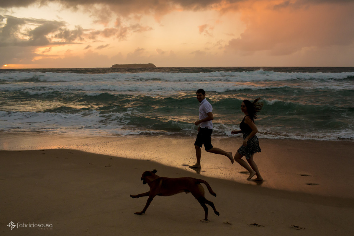 pet no ensaio fotográfico