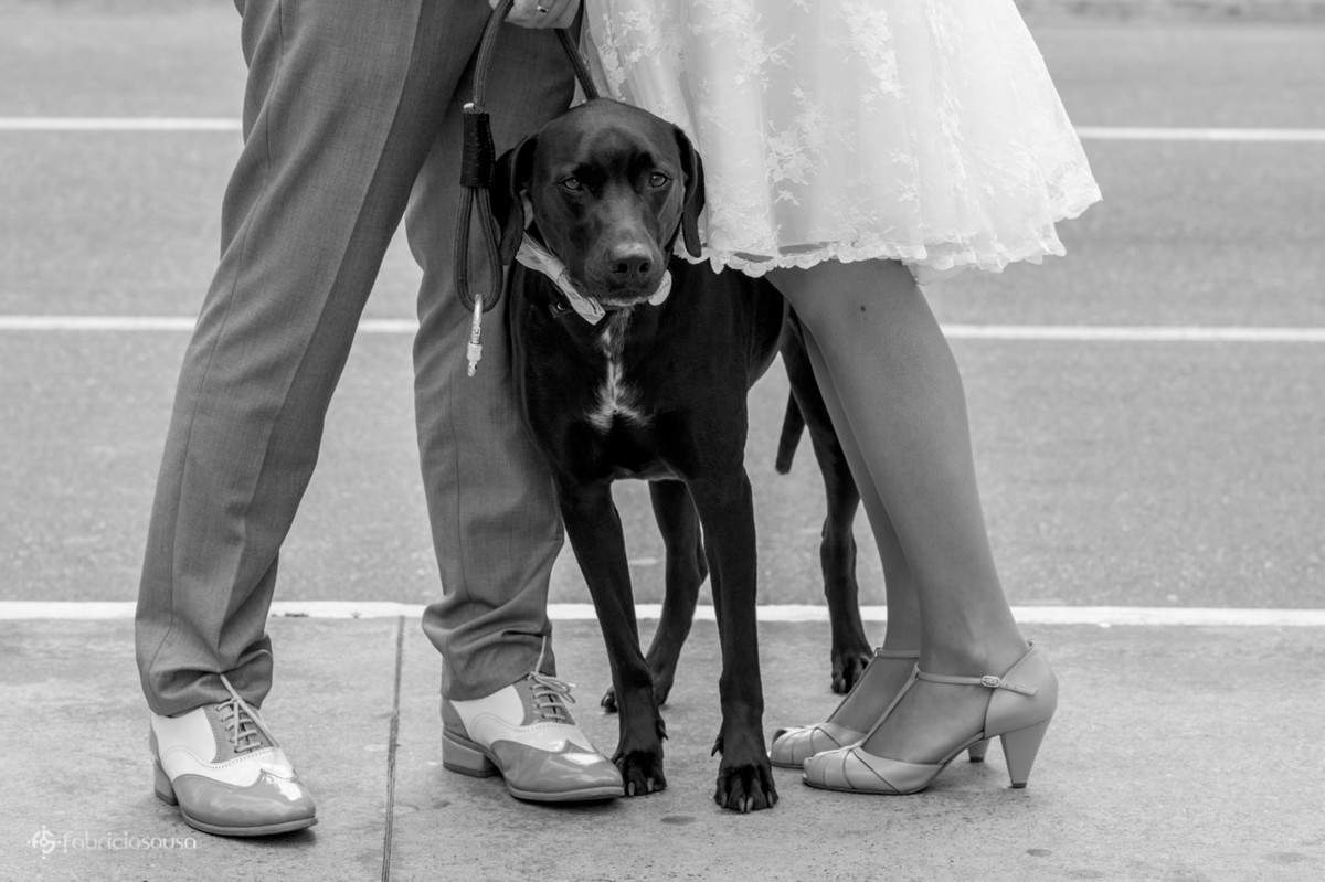 detalhe do cachorro Bruce no meio dos noivos no ensaio na avenida paulista