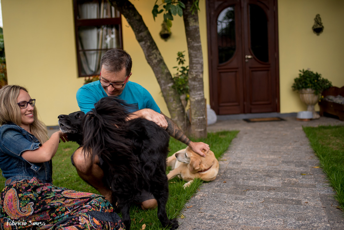 curtindo com os cachorros no gramado de casa