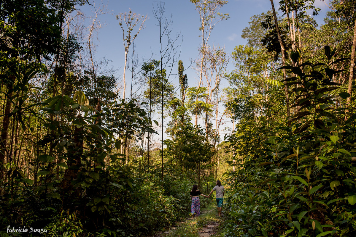 papai e mamae caminhando na trilha da floresta durante sessão fotográfica