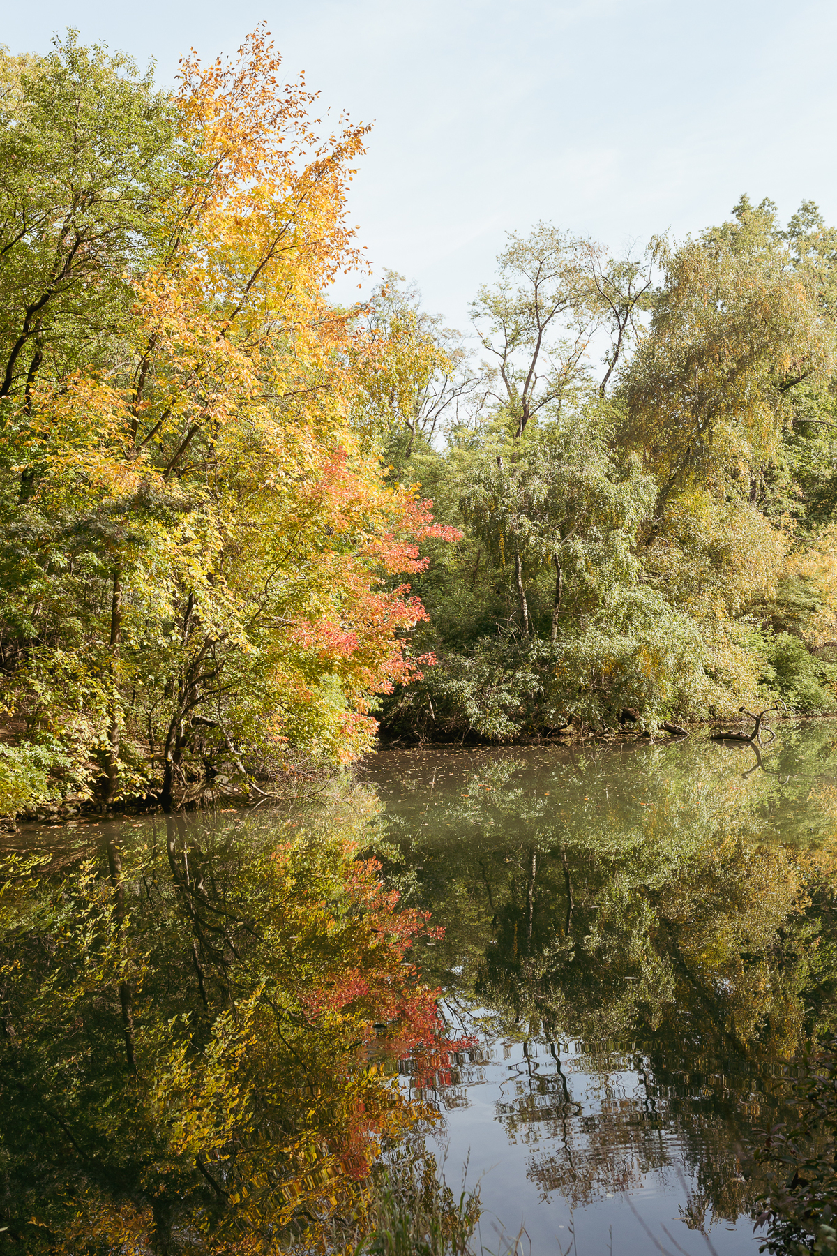 central park nova iorque new york