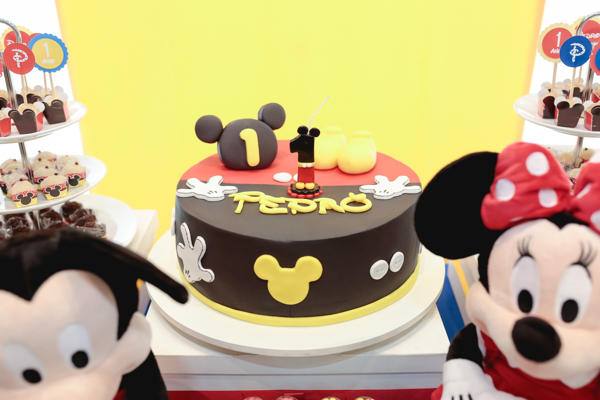 fotografa festa infantil sao paulo