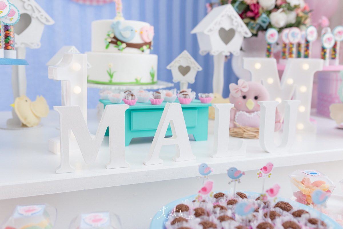 festa infantil 1 ano fotografa sp abc 