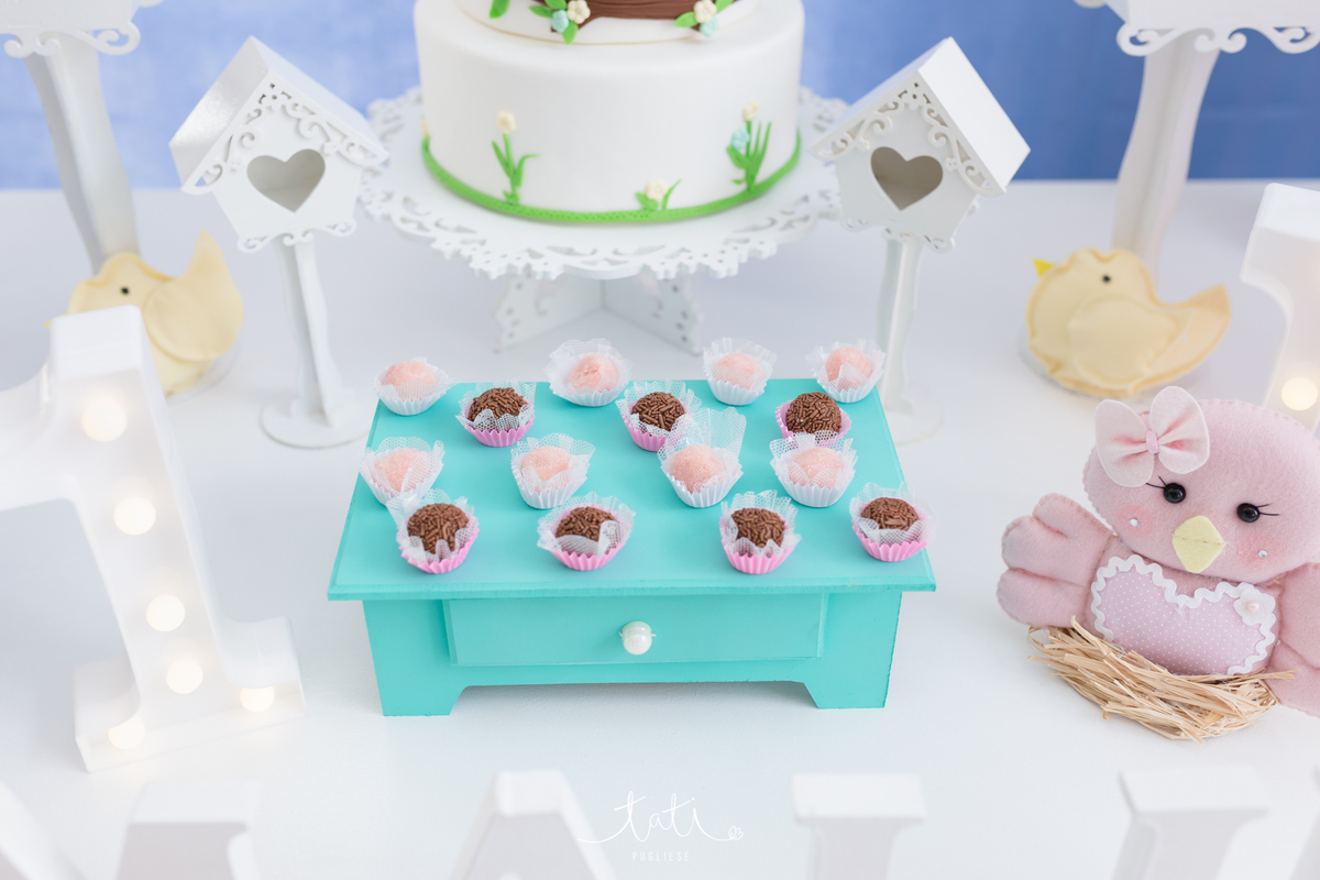 festa infantil 1 ano fotografa sp abc 