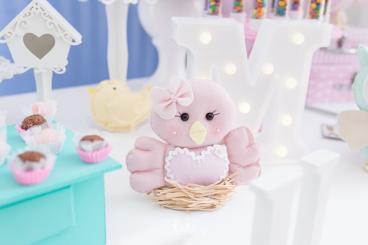 festa infantil 1 ano fotografa sp abc 