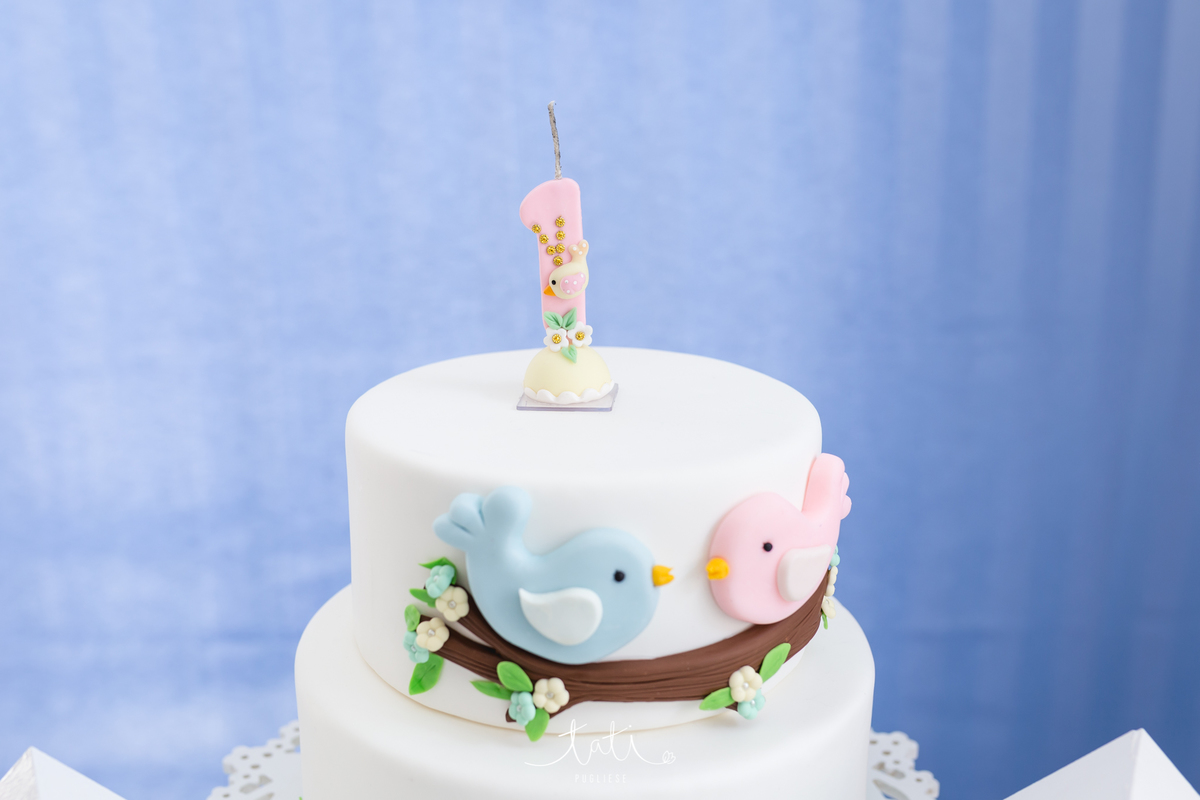 festa infantil 1 ano fotografa sp abc 