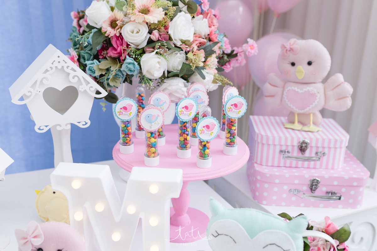 festa infantil 1 ano fotografa sp abc 