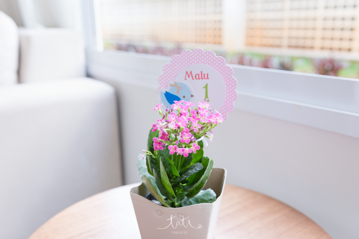 festa infantil 1 ano fotografa sp abc 