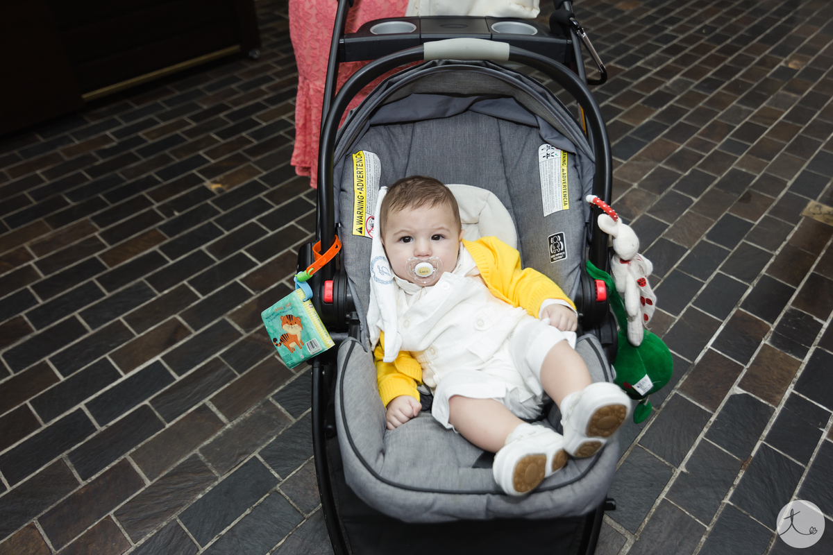 bebe no carrinho