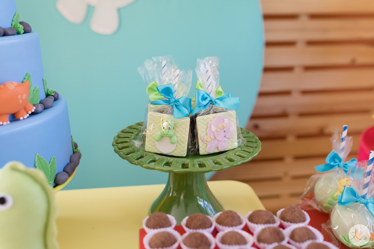 festa-infantil-dinossauro-cotia-são-paulo-fotografa-abc