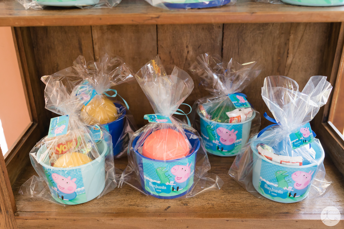 festa-infantil-dinossauro-cotia-são-paulo-fotografa-abc