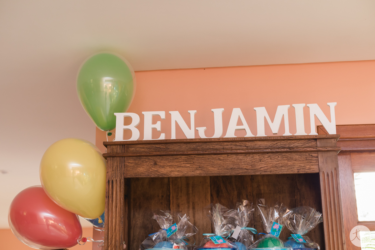 festa-infantil-dinossauro-cotia-são-paulo-fotografa-abc