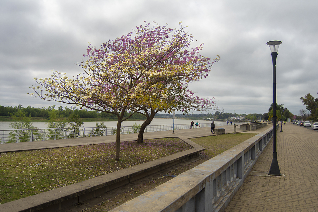 Costanera- Paraná
