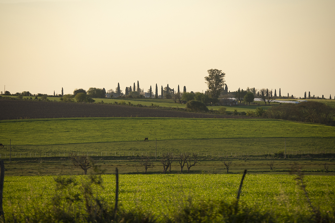 Campo entrerriano- zona Las Cuevas