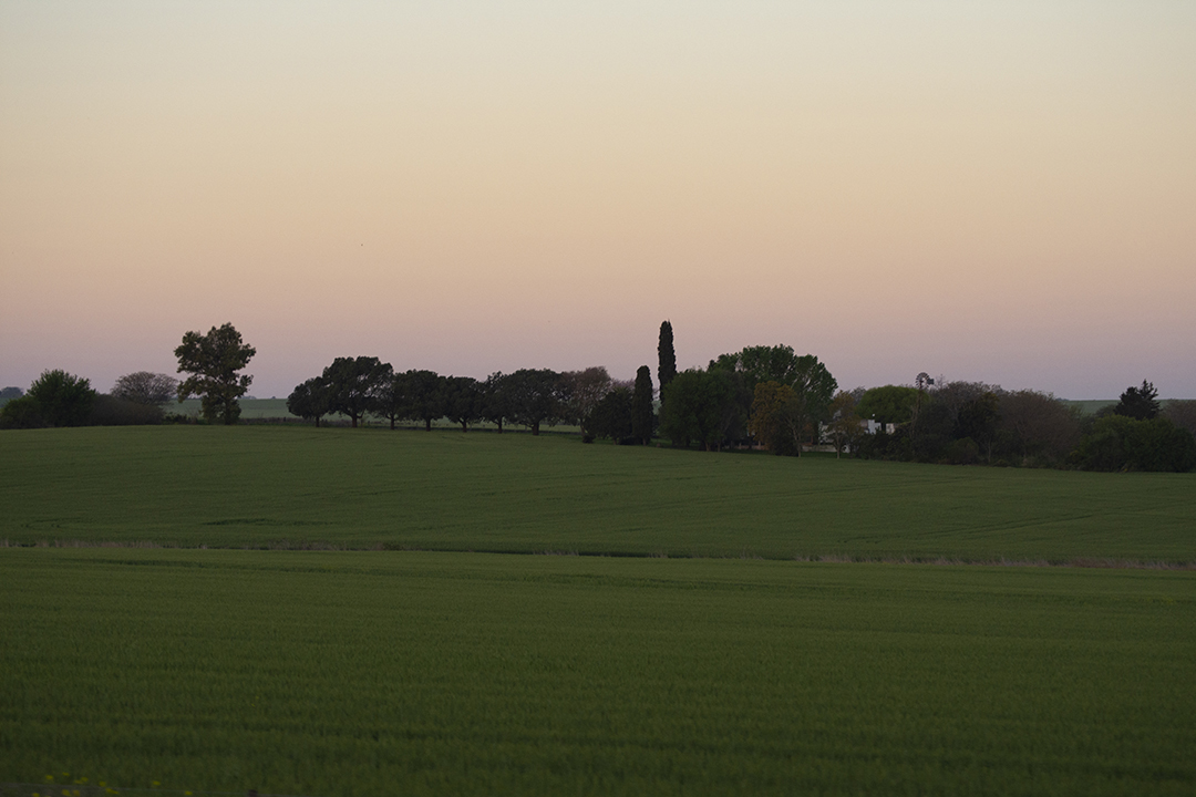 Campo entrerriano- zona Las Cuevas