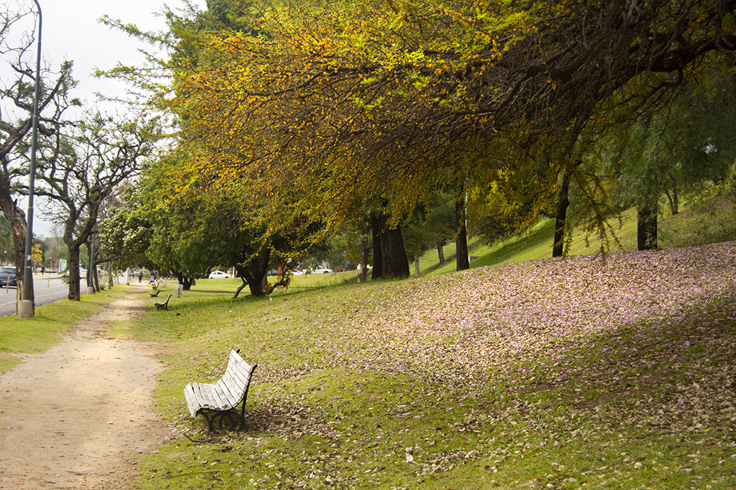 Costanera- Paraná