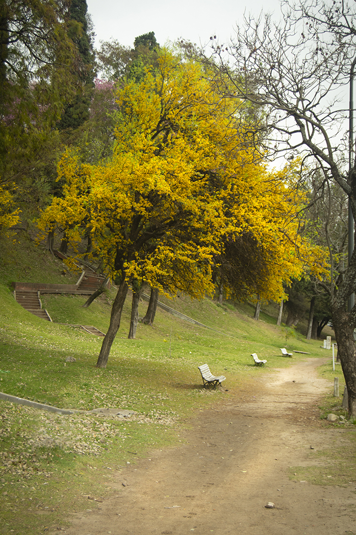 Parque Urquiza- Paraná