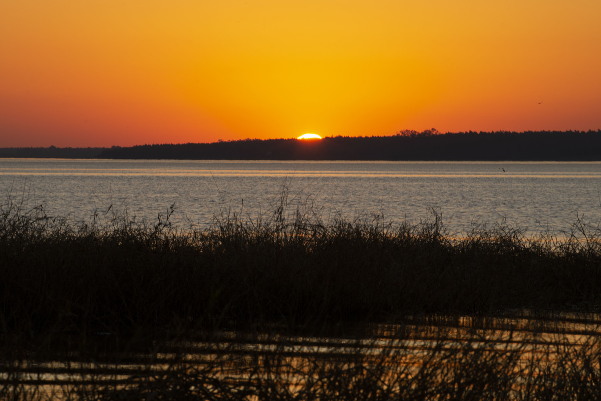 Atardecer en Federación
