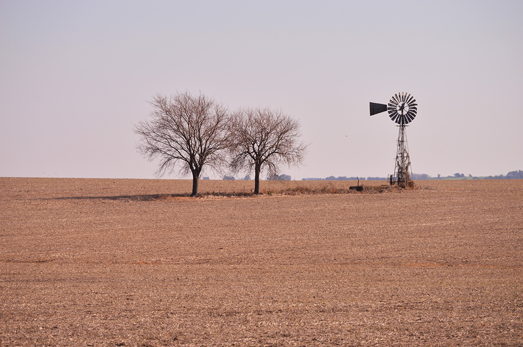 Campo entrerriano- Aldea Brasilera

