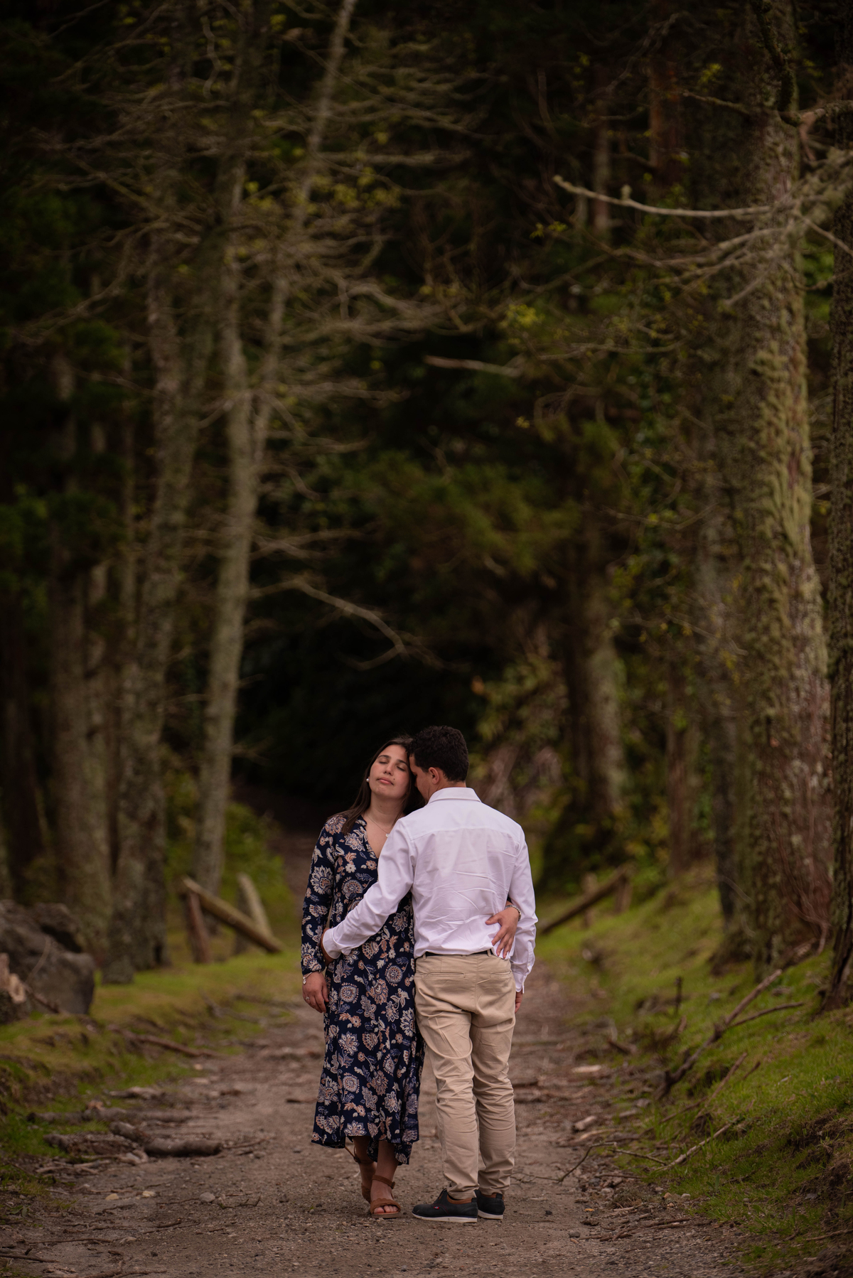 foto entre as arvores 