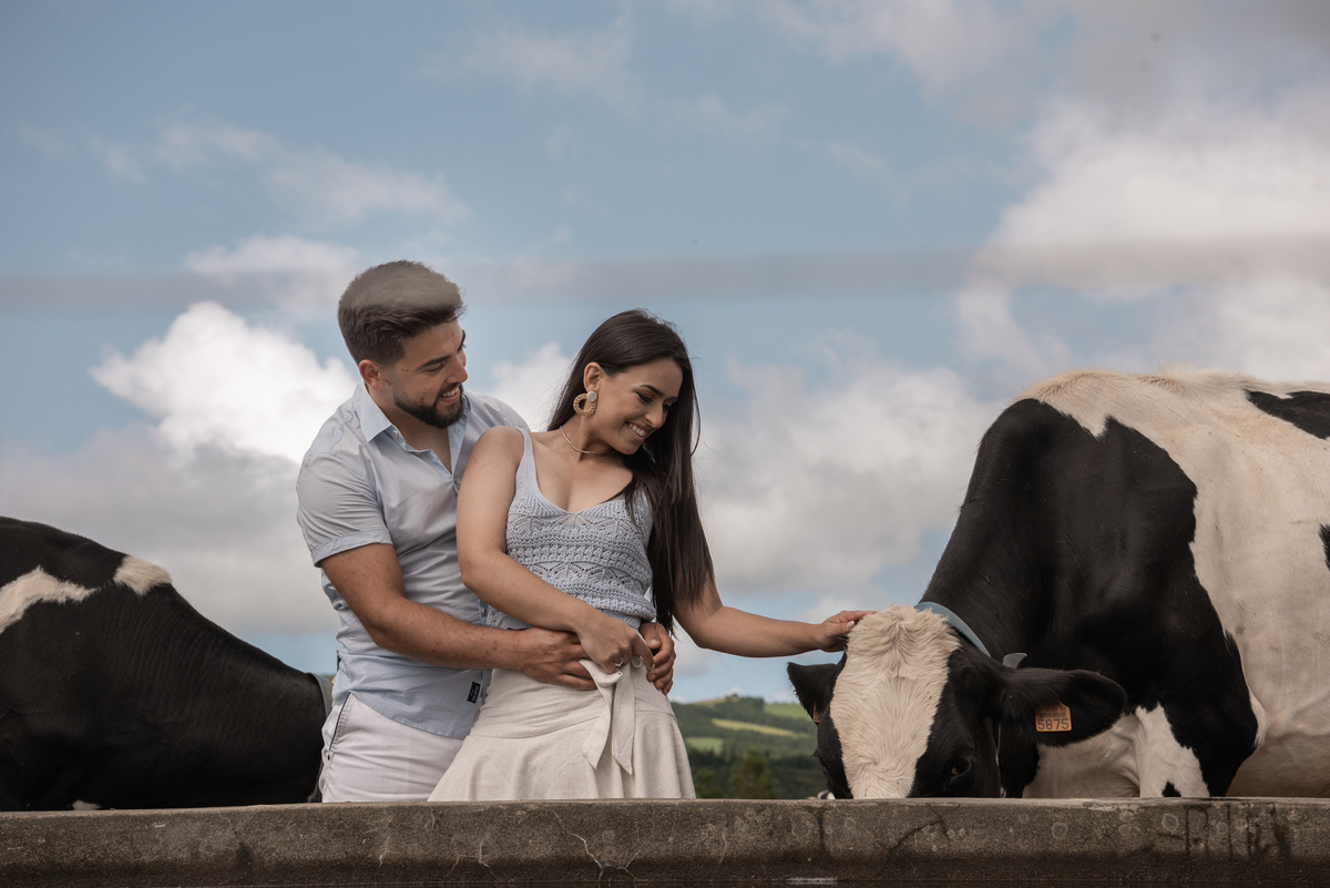 tocando na vaca Pre-casamento Casal lindo Sao Miguel Açores 