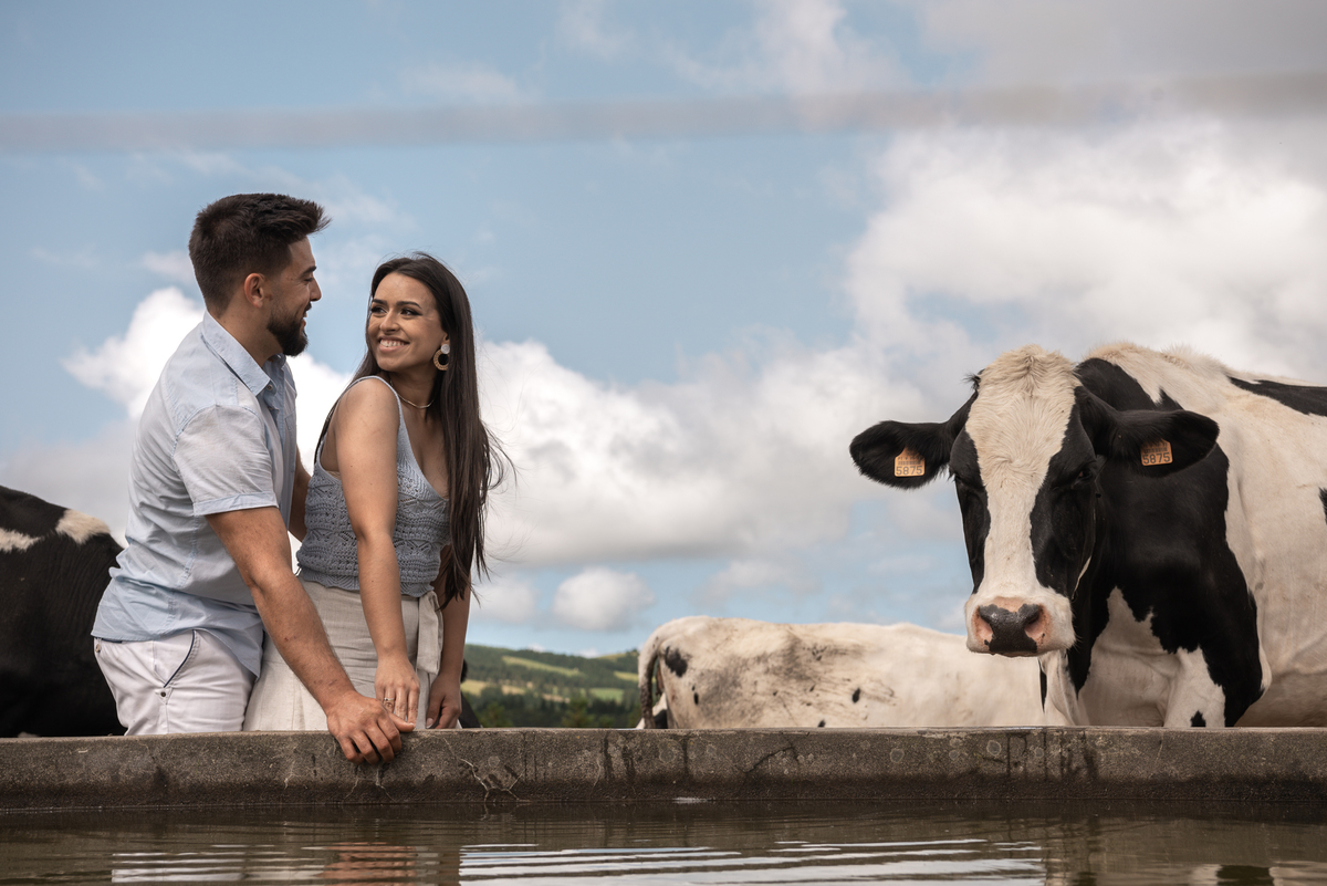 vaca olhar Pre-casamento Casal lindo Sao Miguel Açores 