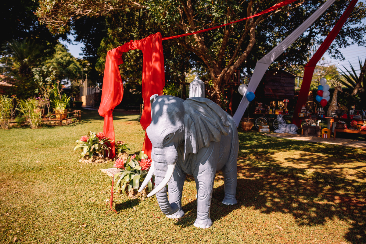 festa tema circo decoração linda com fantasia e mágico