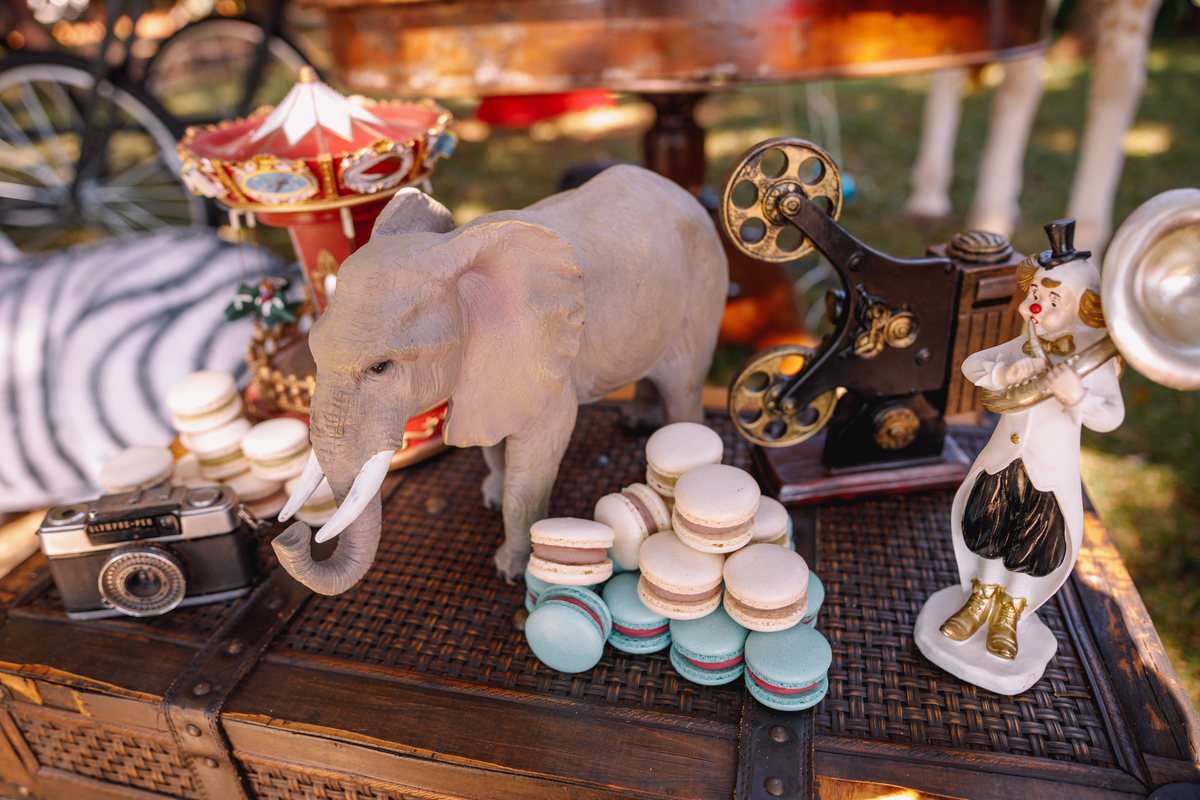festa tema circo decoração linda com fantasia e mágico