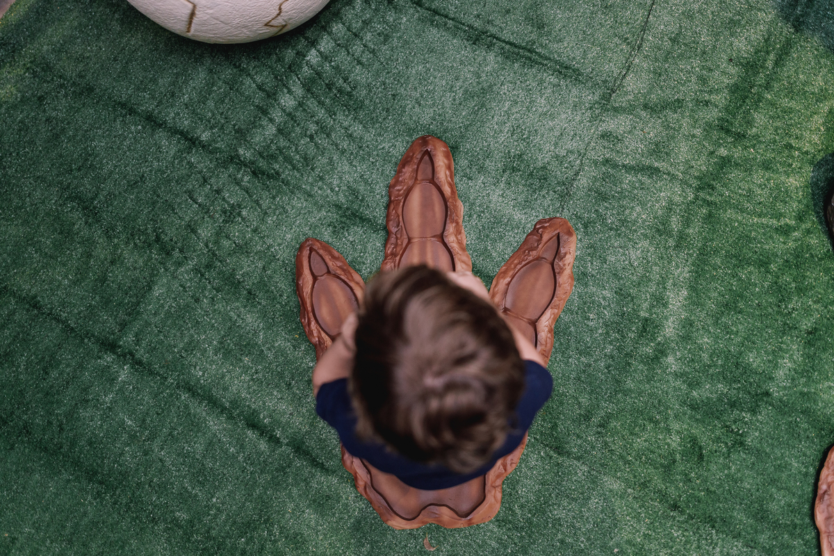 aniversario espaço carambola tema dinossauros pipoca doce decoração