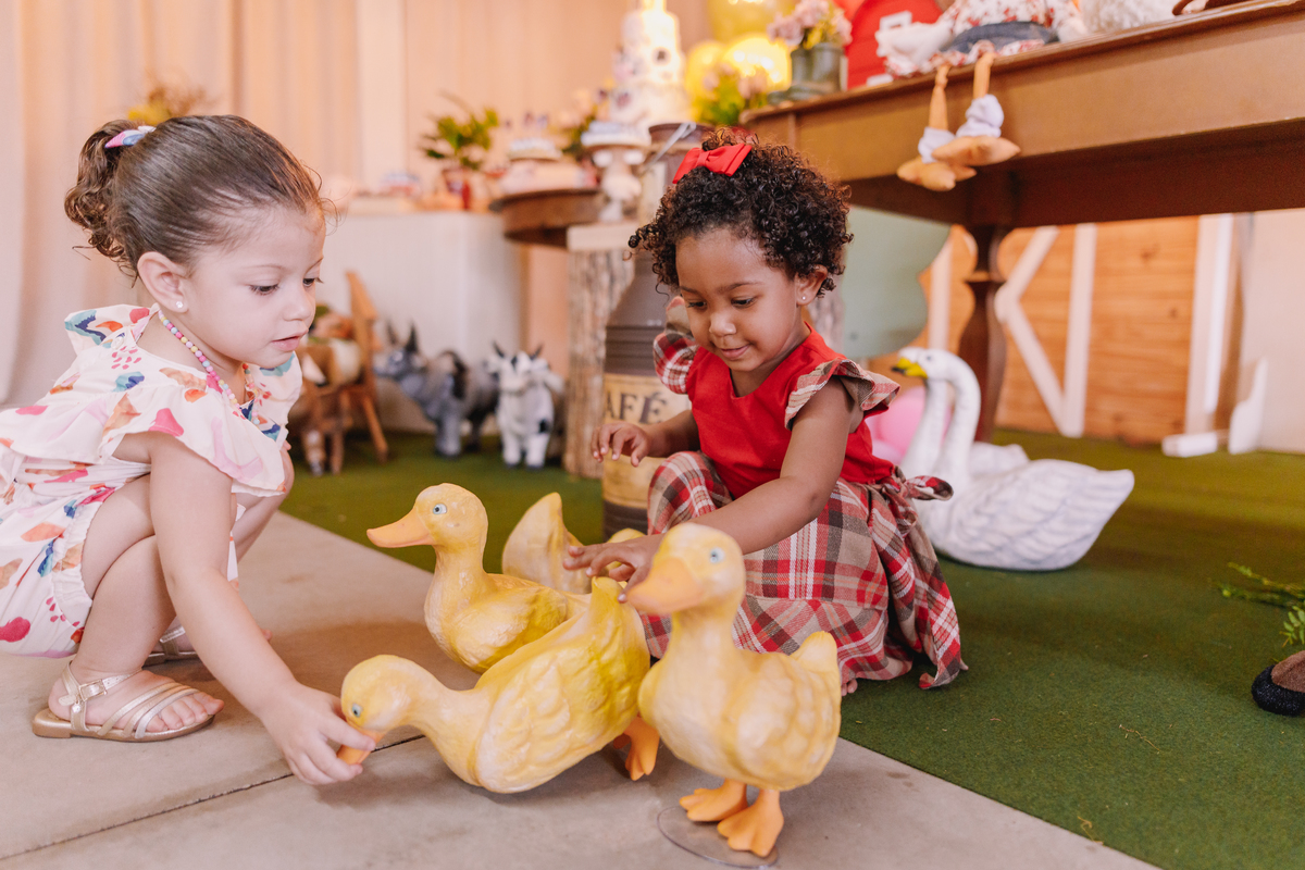 aniversario decoração tema fazendinha menina 2 anos
