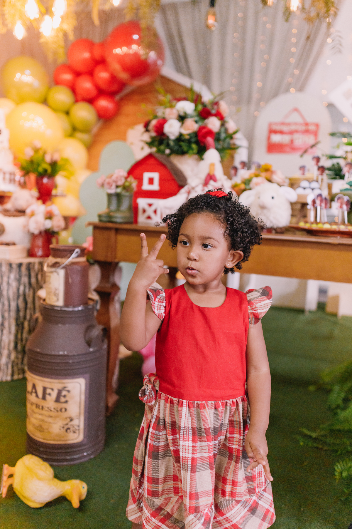 aniversario decoração tema fazendinha menina 2 anos