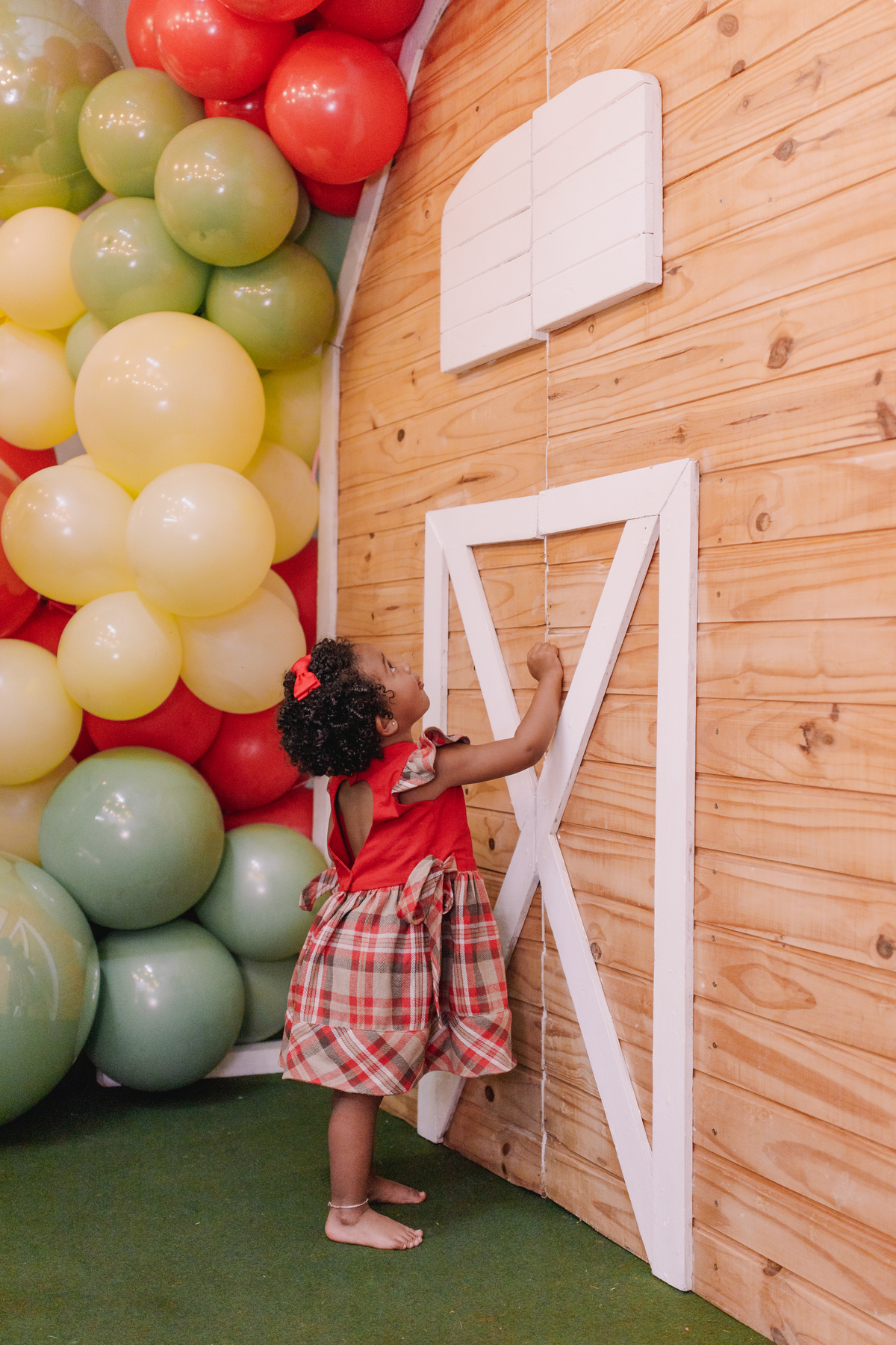 aniversario decoração tema fazendinha menina 2 anos