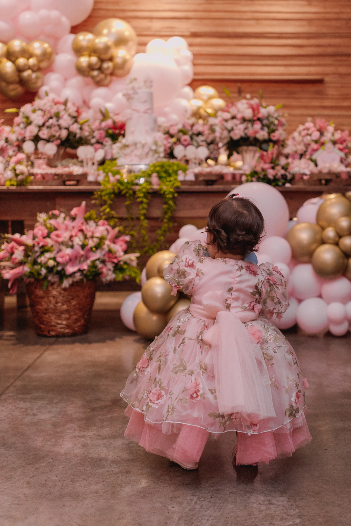 festa de 1 aninho espaço carambola decoração de jardim com borboletas mari sturari ribeirao preto 