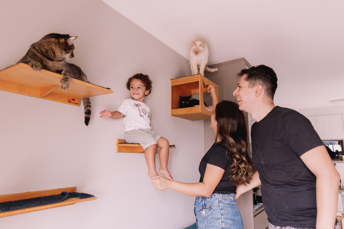 ensaio em família em casa com gatos ribeirao preto 