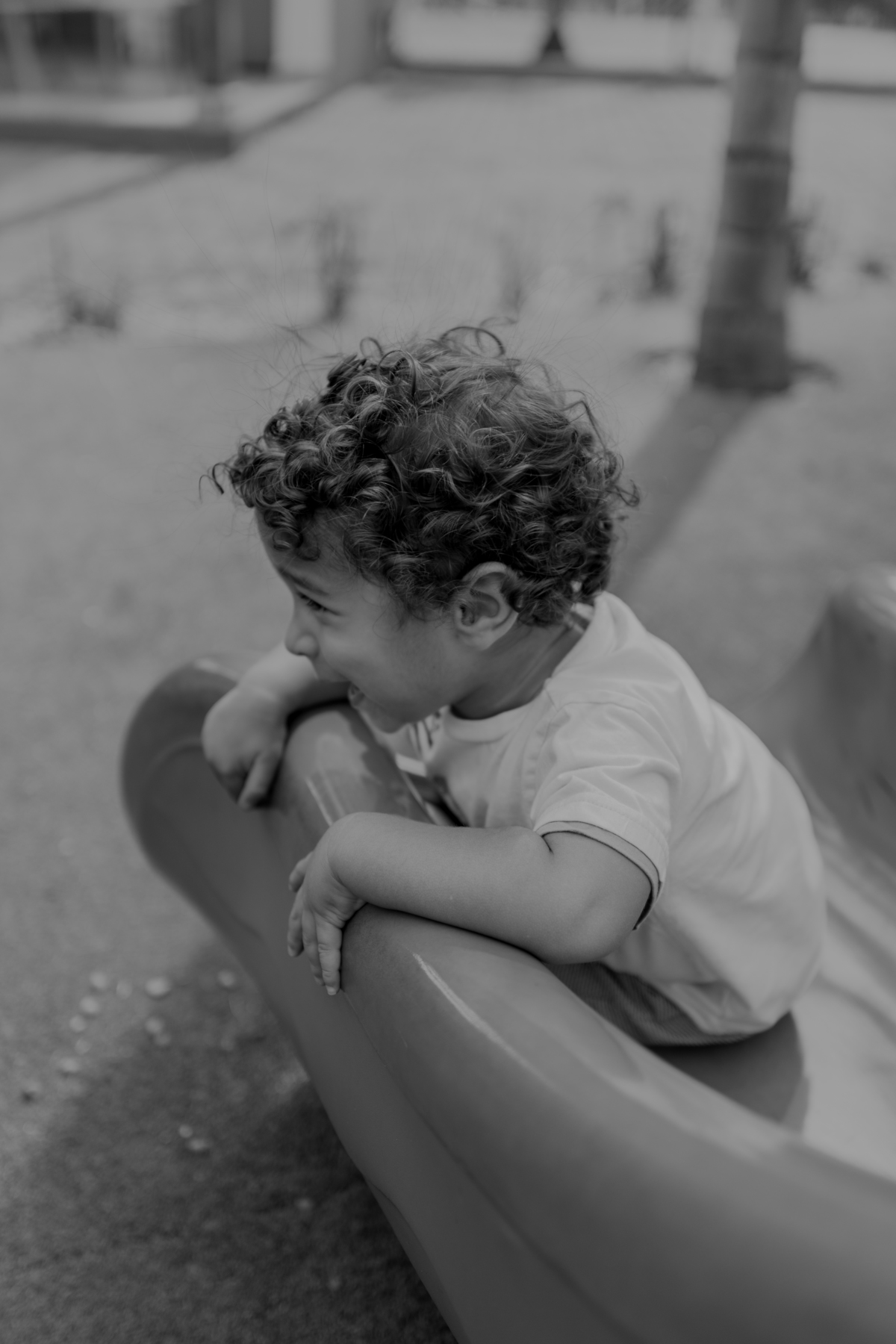 ensaio em família em casa com gatos ribeirao preto 