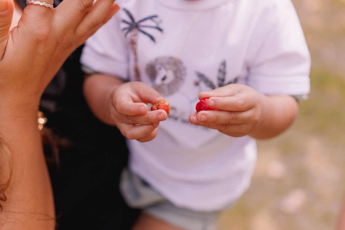 ensaio em família em casa com gatos ribeirao preto 