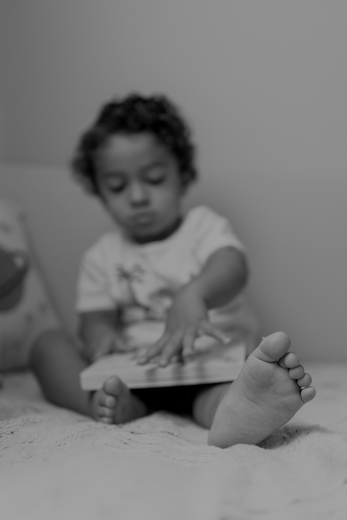 ensaio em família em casa com gatos ribeirao preto 