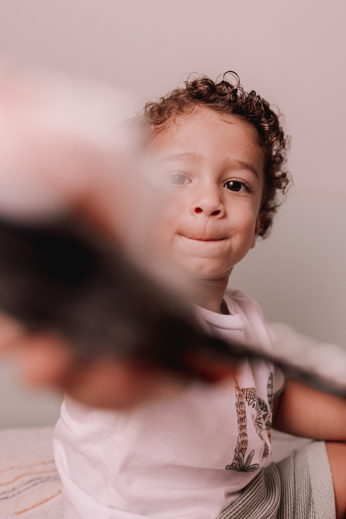 ensaio em família em casa com gatos ribeirao preto 