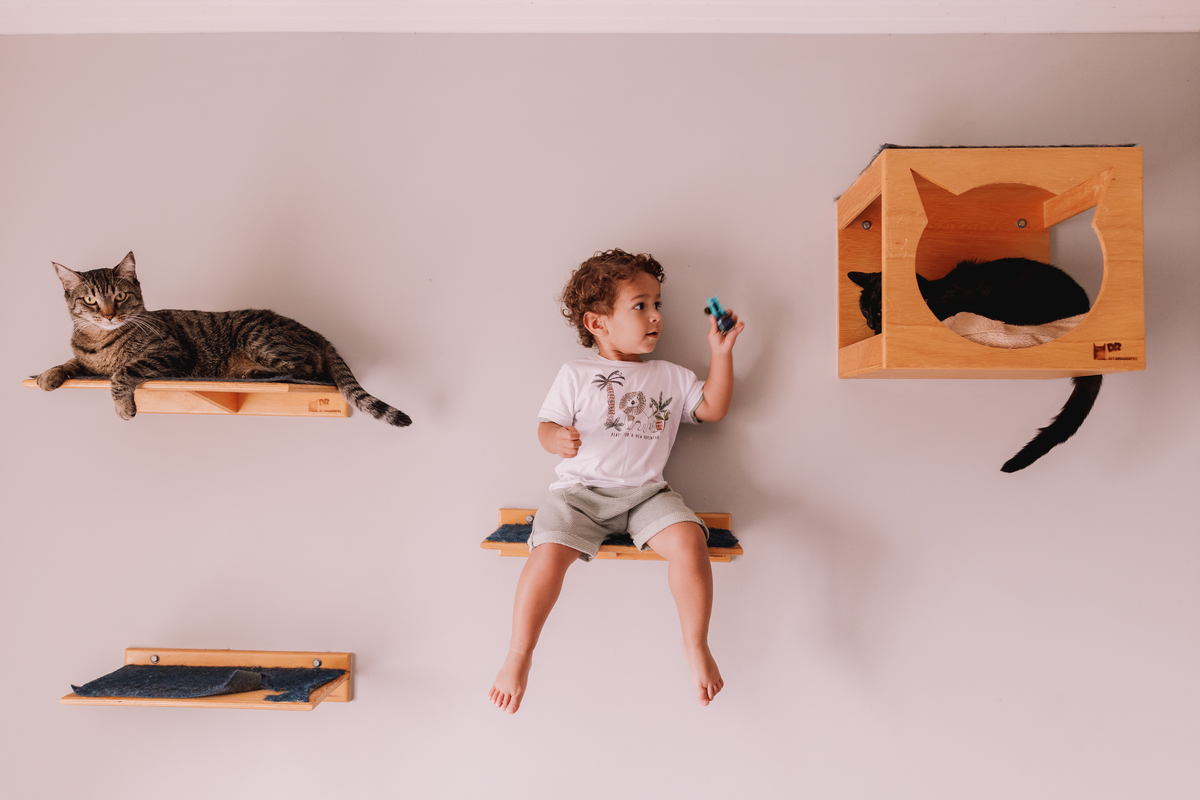 ensaio em família em casa com gatos ribeirao preto 